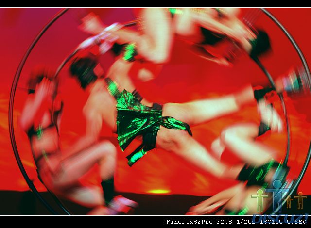 DSCF4205.jpg