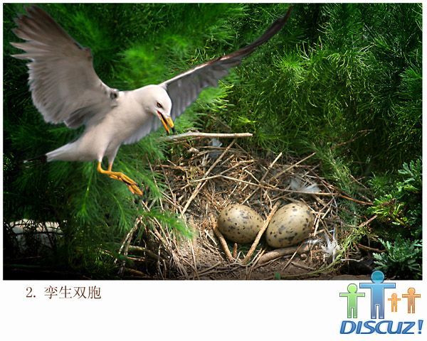 20090109_3b0a2653f5dad93c4b7c0CWjbo2IS6ay.jpg