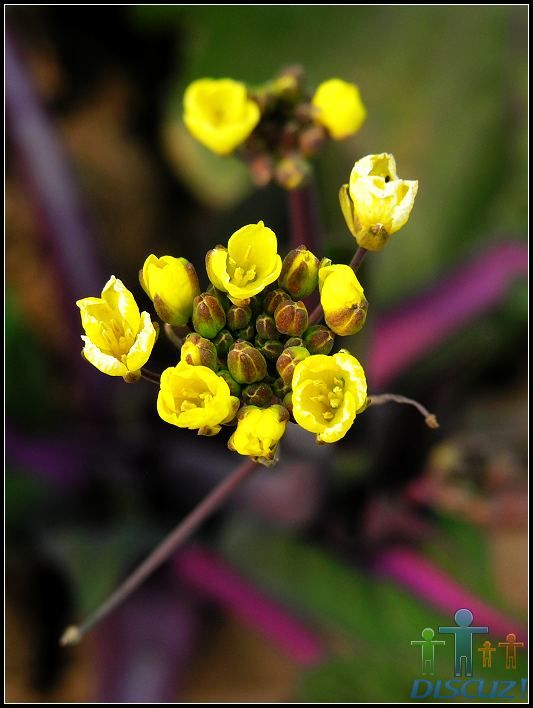 DSCN9878.jpg