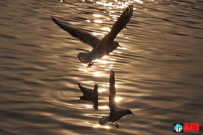 20090124_9391d87bdac1ca932b6c5ORtl5n6AqSJ.jpg