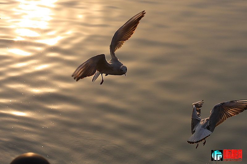 20090124_6754735d94e73e3d6173QPYmwevm7kbR.jpg