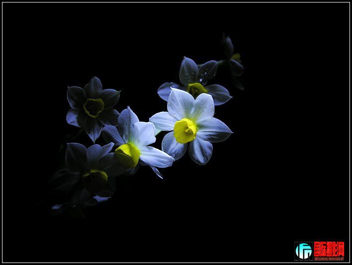 20090203_28a146849c7407fc9ce594urkZMWGR2M.jpg