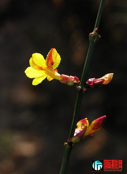 DSCN3069.jpg