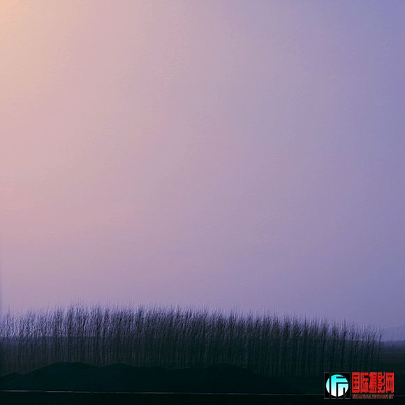 _MG_5528.jpg