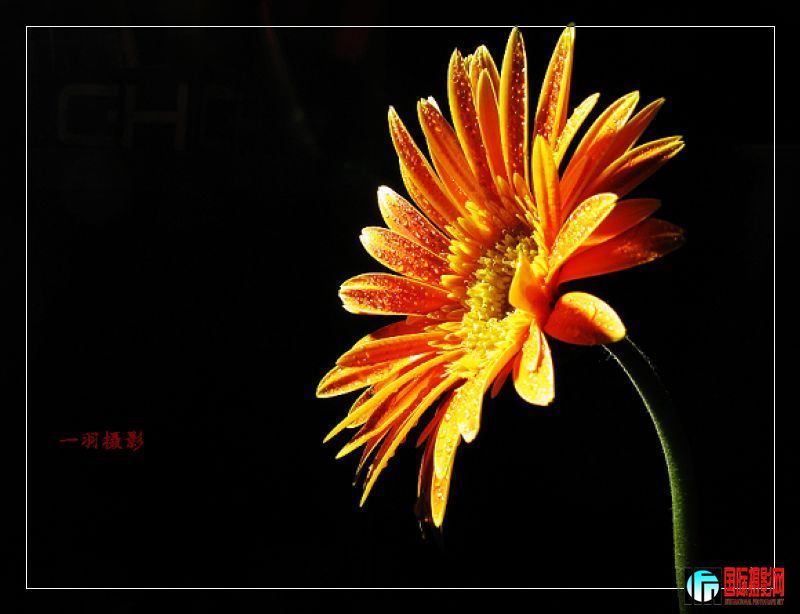 ƬG9 198.jpg