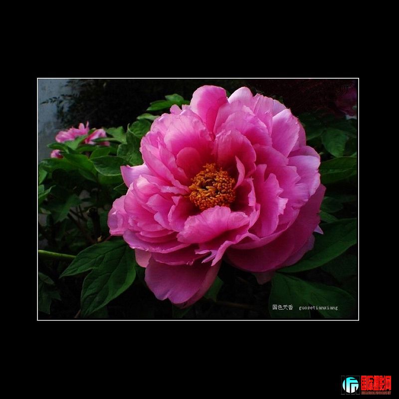 20090226_078c41c7e7cc78673175UjHxTTSTMYm2.jpg
