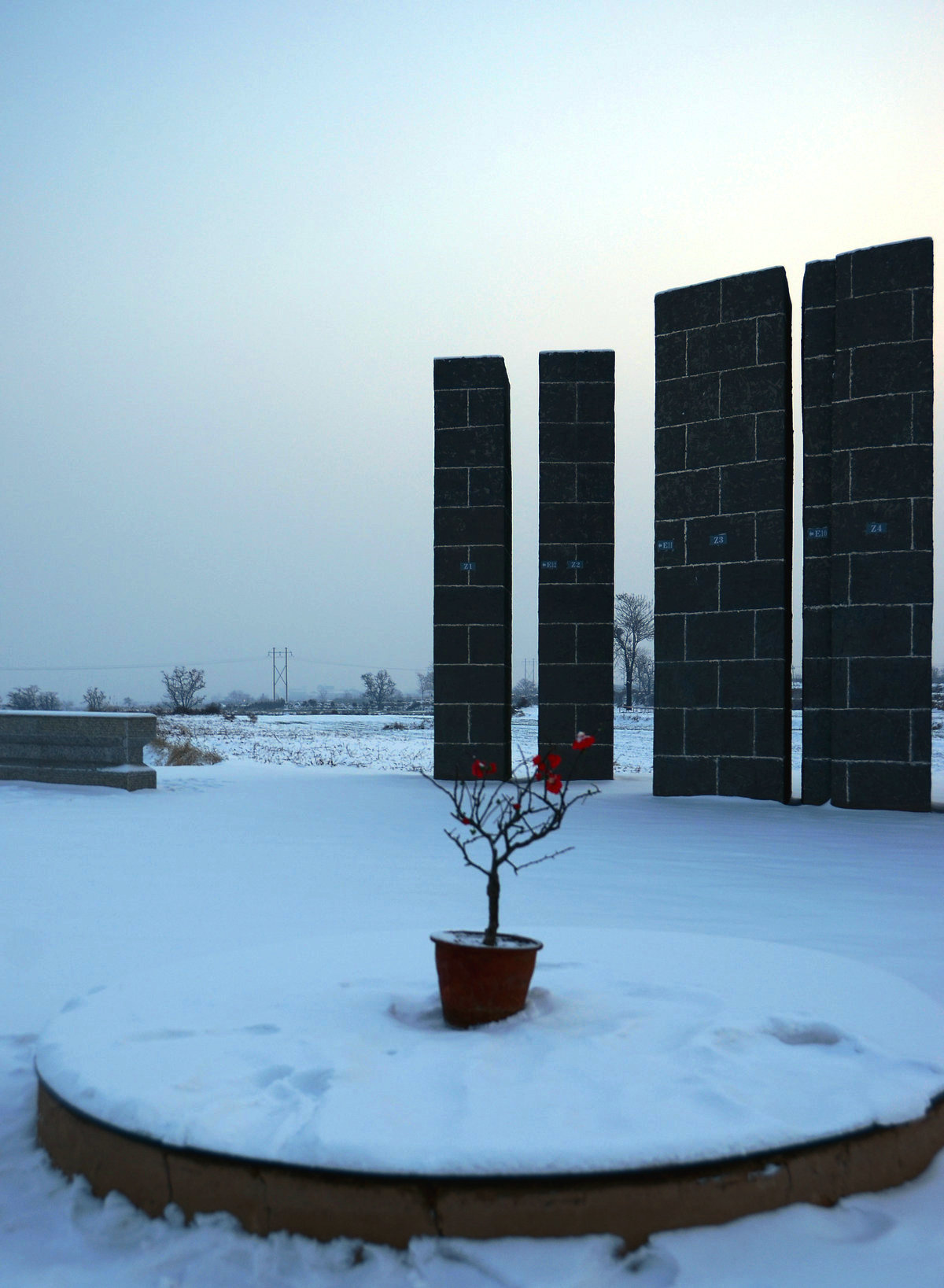 DSC_4485.jpg