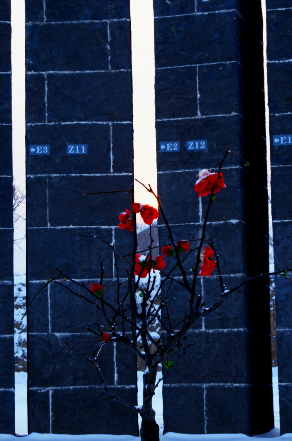 DSC_4628.jpg