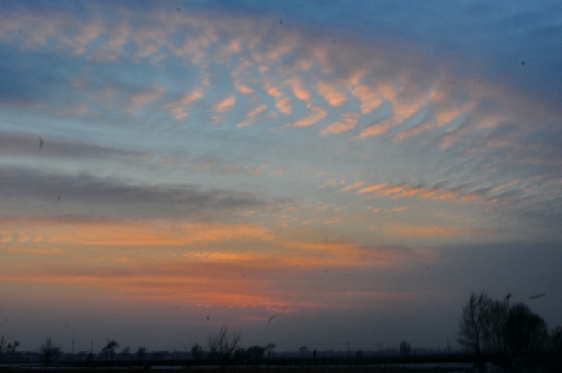 nEO_IMG_DSC_5924.jpg