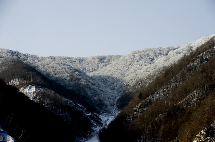 DSC_7569.jpg