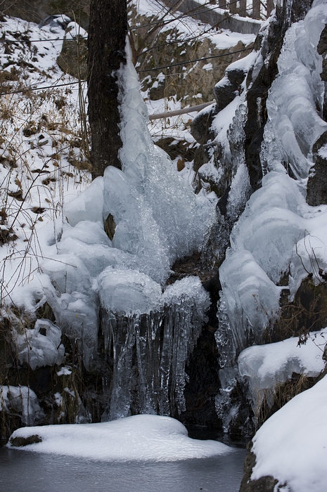 DSC_7791.jpg