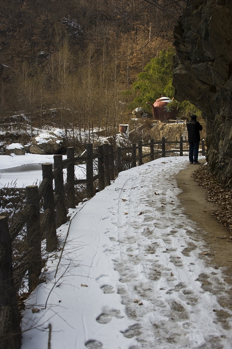 DSC_7795.jpg