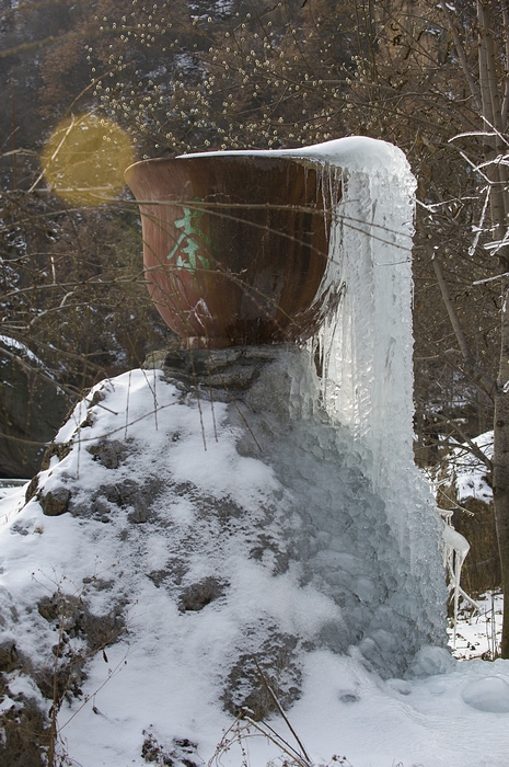 DSC_7802.jpg