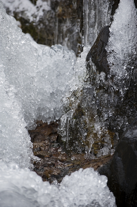 DSC_7853.jpg