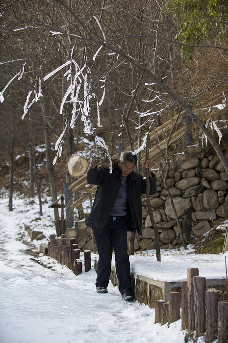 DSC_7807.jpg