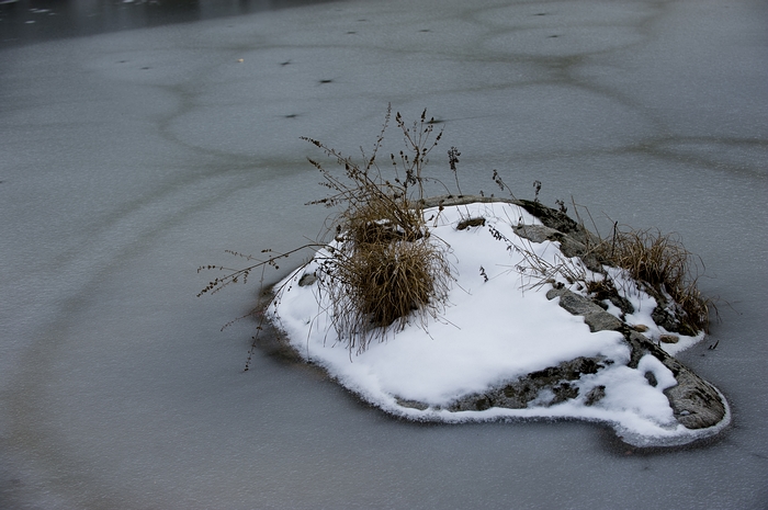 DSC_7823.jpg