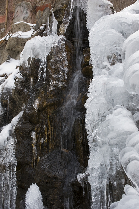 DSC_7845.jpg
