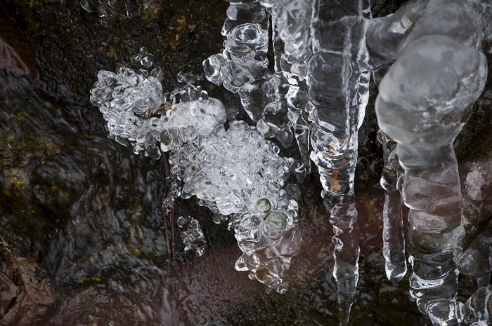 DSC_7852.jpg