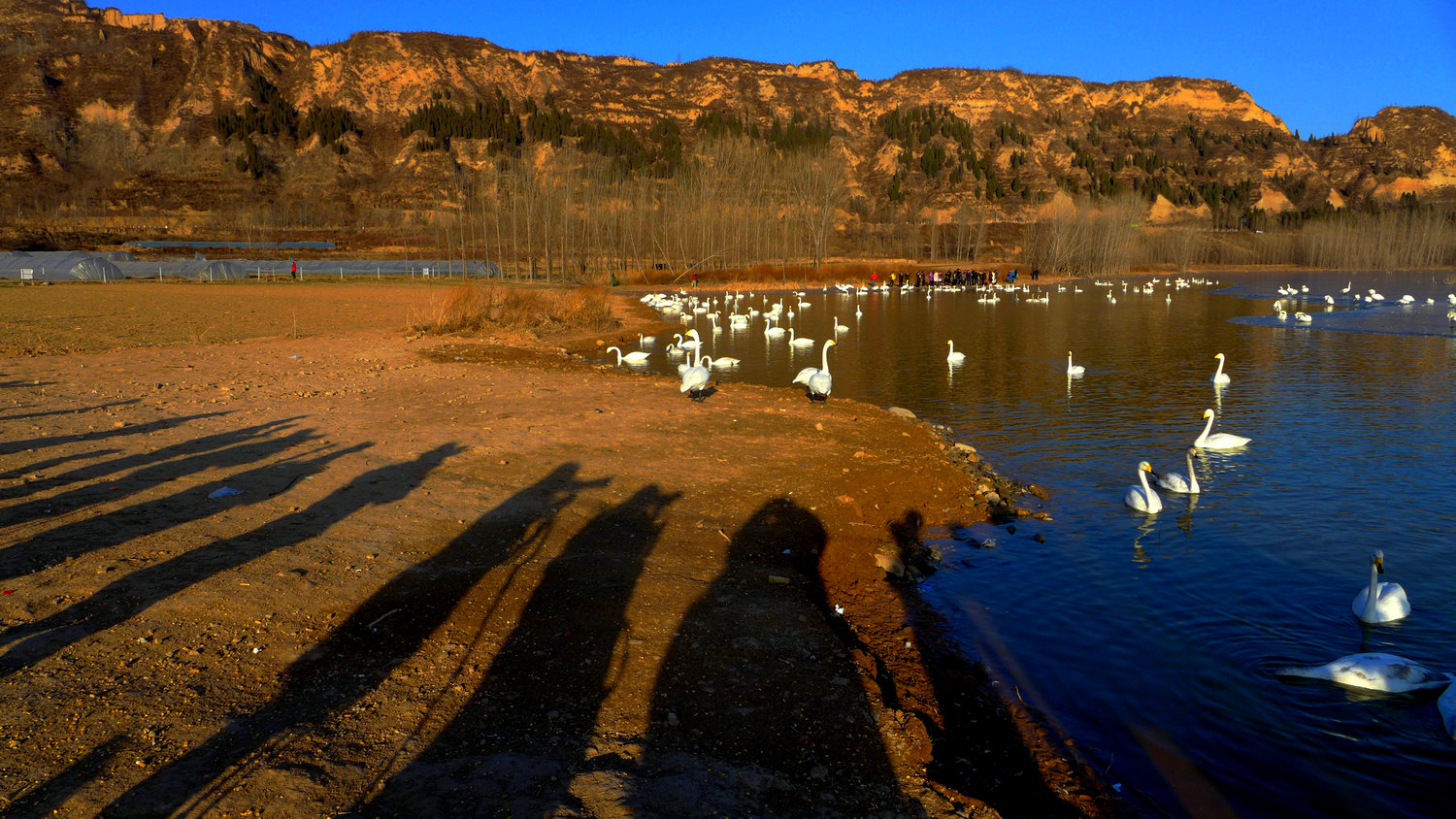 L1000034.jpg