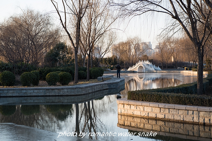 DSC_0041.jpg