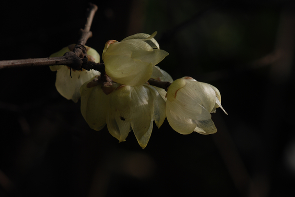 DSC_7360.jpg