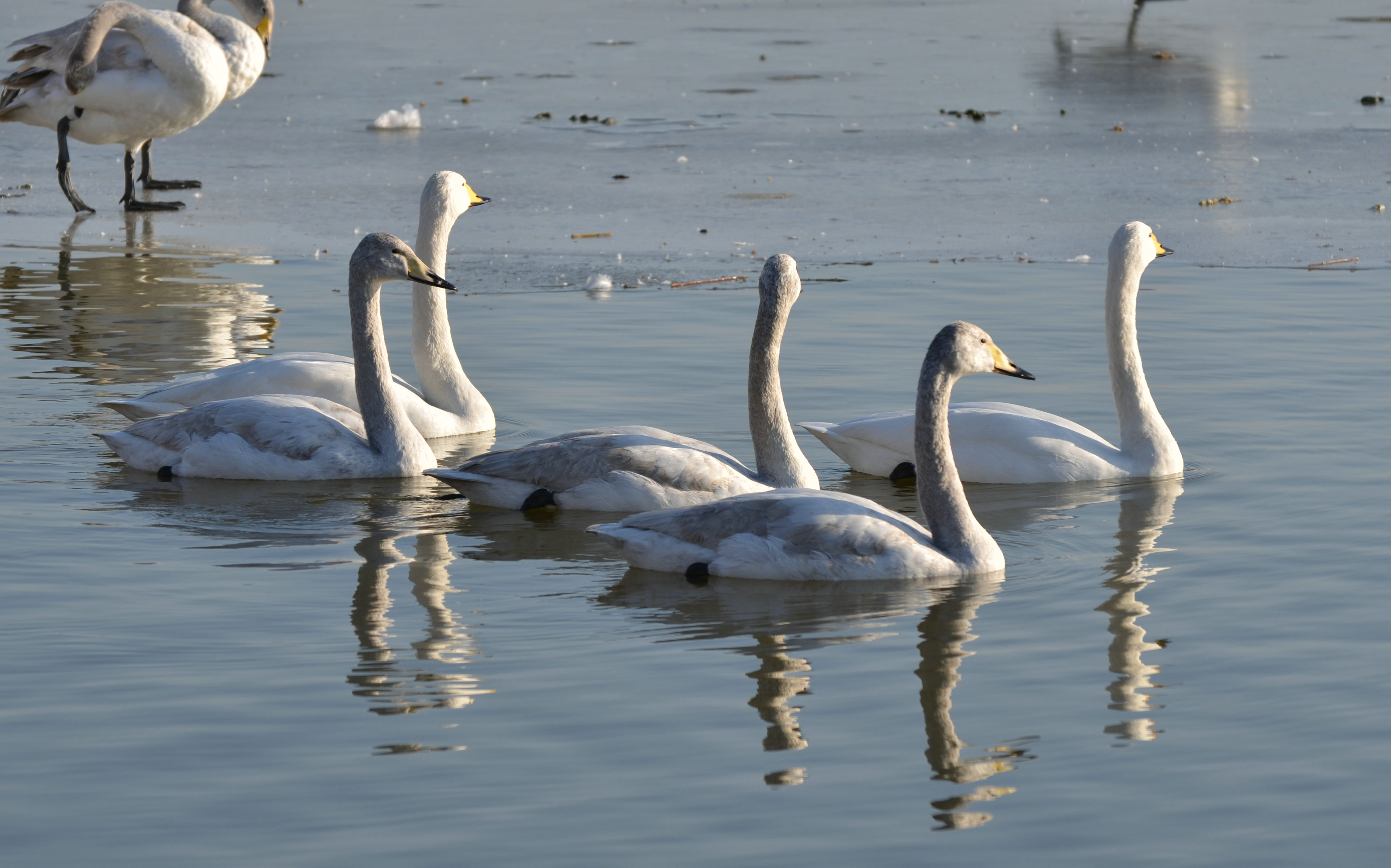 DSC_3280.JPG