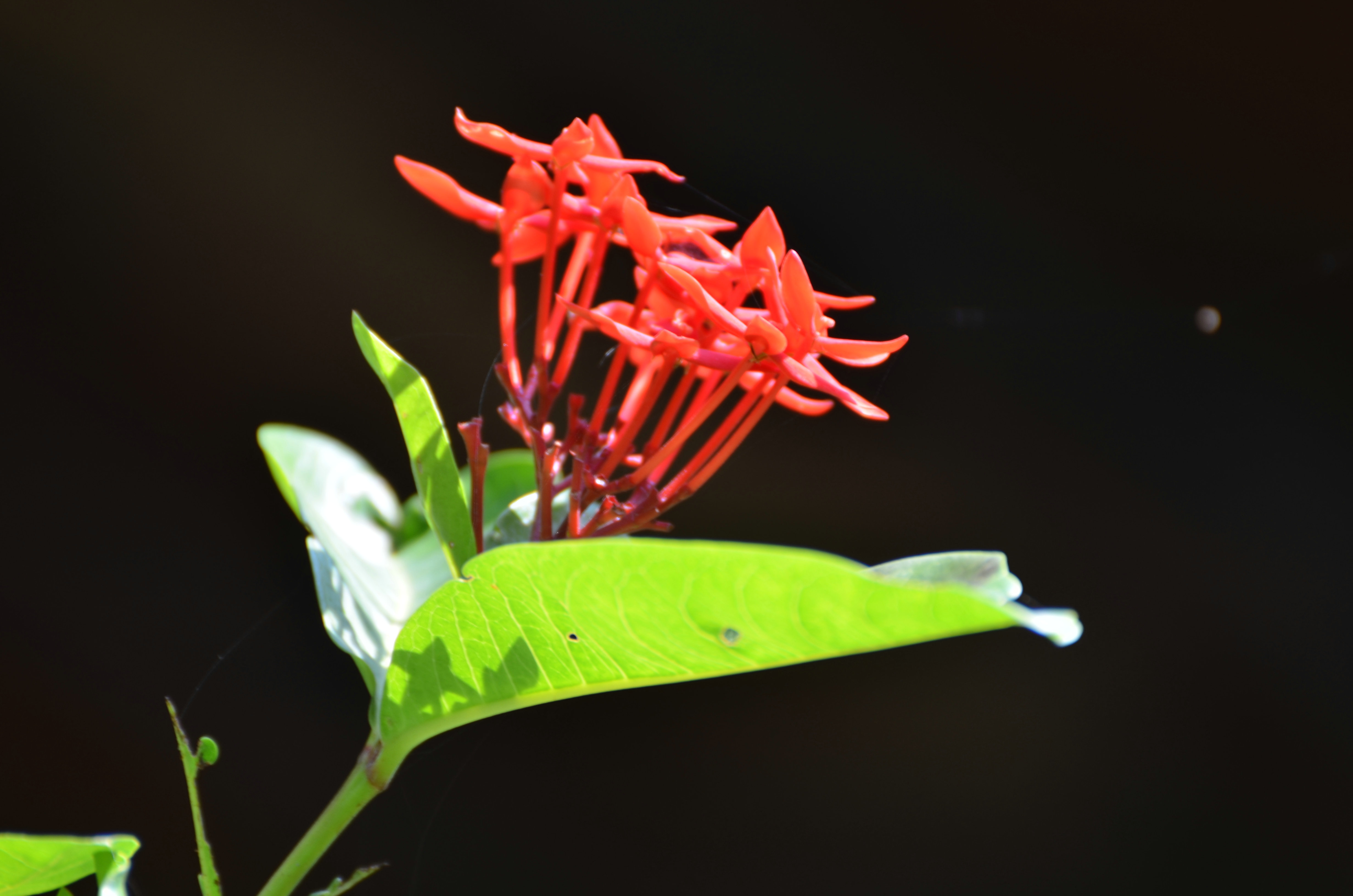 DSC_7240.jpg