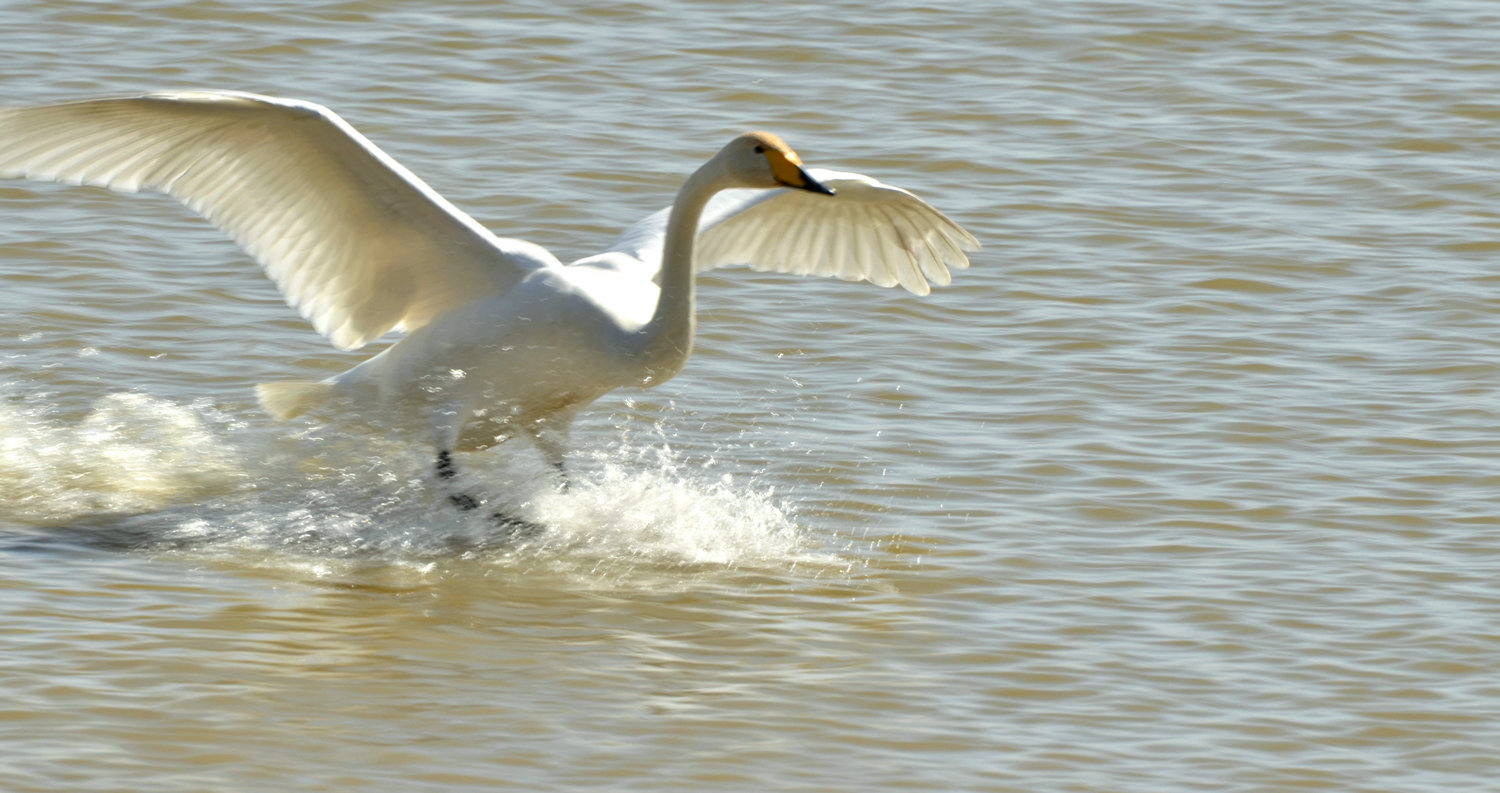 DSC_9695.jpg