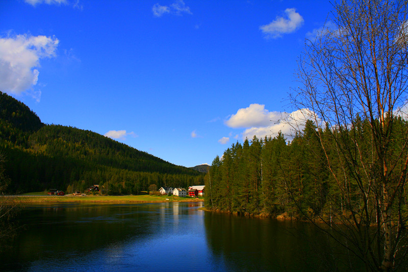 _MG_2657_.jpg