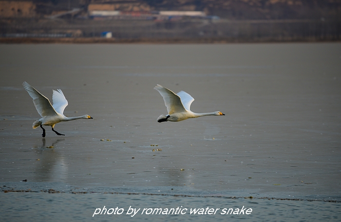 DSC_0318.jpg