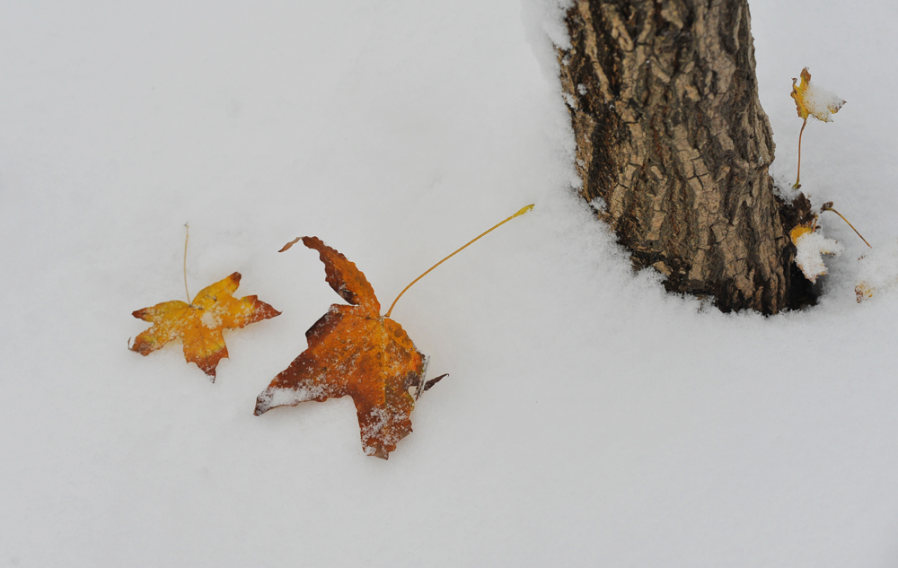 DSC_4056.JPG