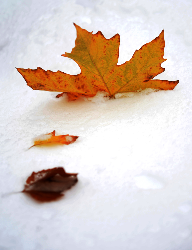 DSC_4160.JPG