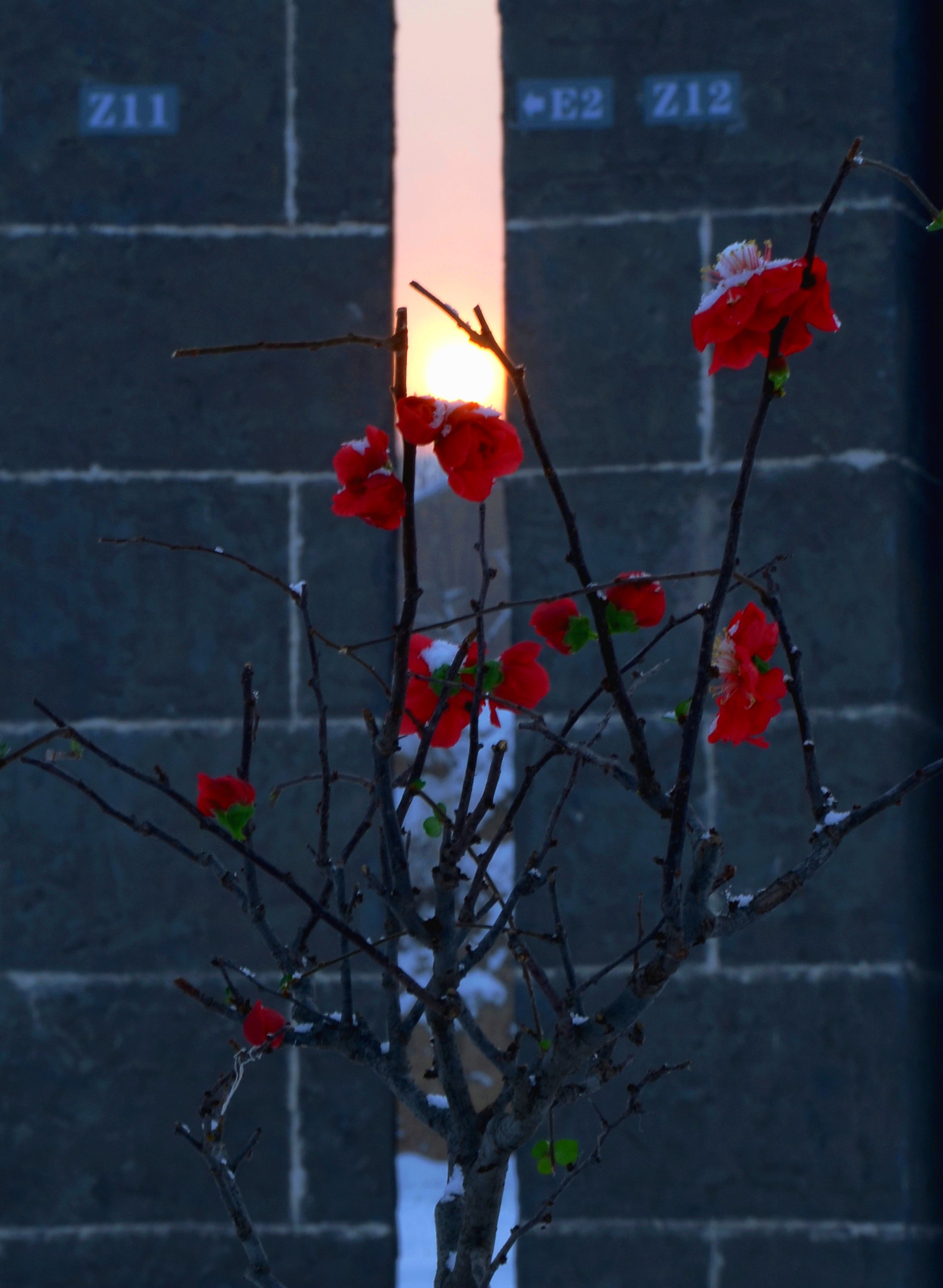 DSC_4627.jpg