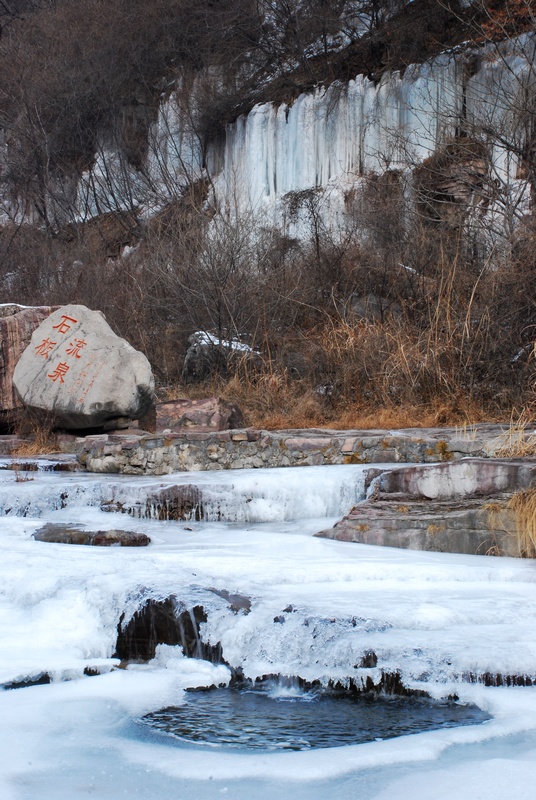 DSC_5304.jpg