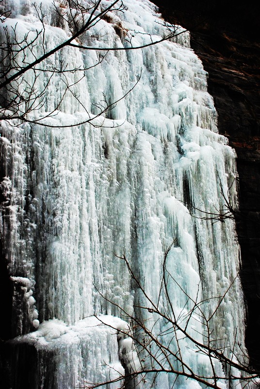 DSC_5356.jpg