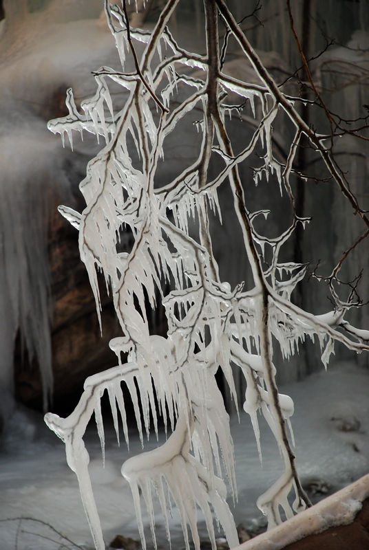 DSC_5426.jpg