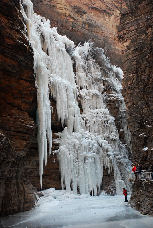 DSC_5501.jpg