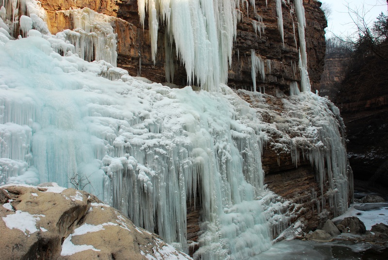 DSC_5587.jpg