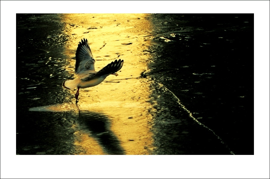 IMG_8805b.jpg