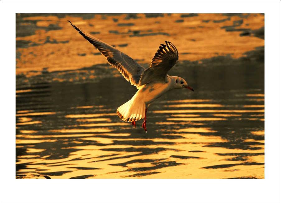 IMG_8997b.jpg