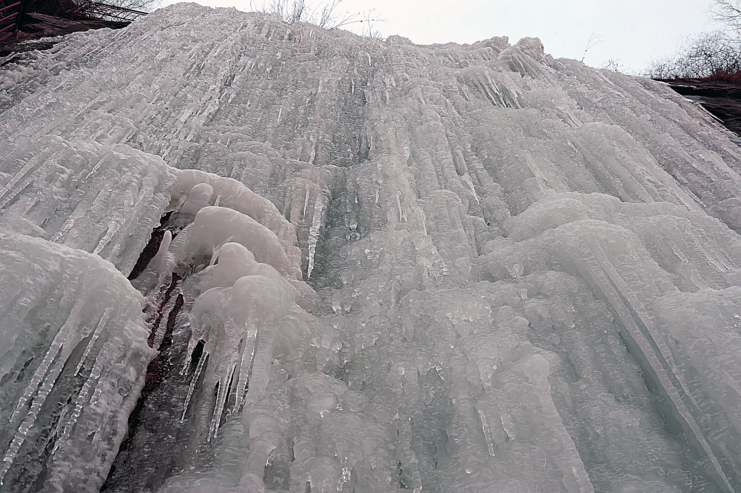 1-16-LZJ_0441.jpg