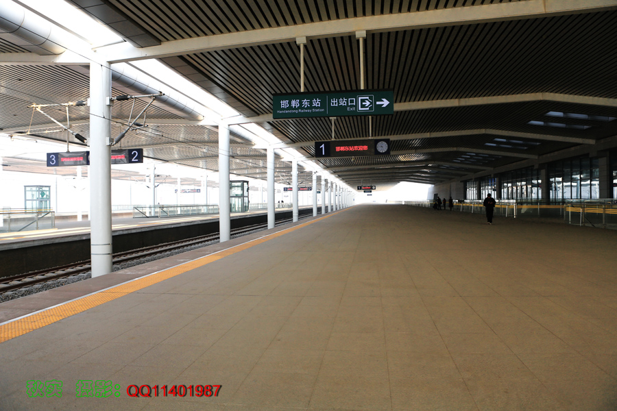 MV4A12266.jpg