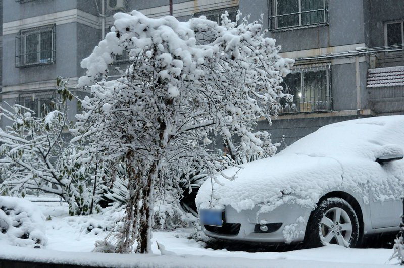 nEO_IMG_DSC_3972.jpg