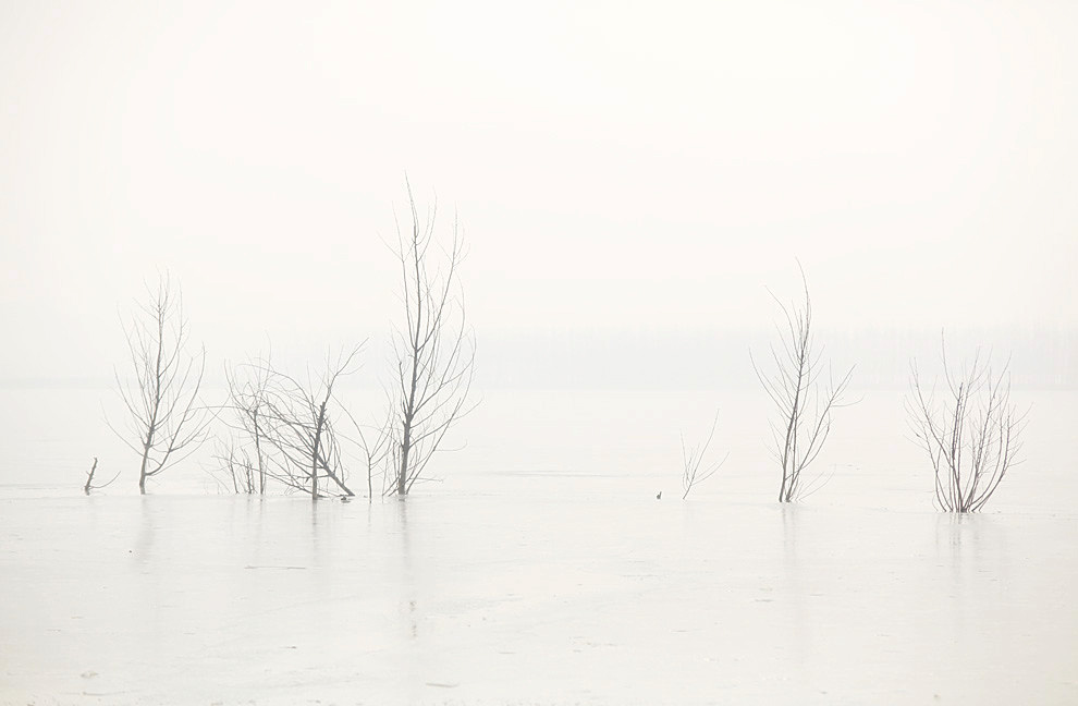2013 (16)_.jpg