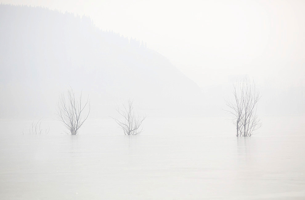 2013 (18)_.jpg