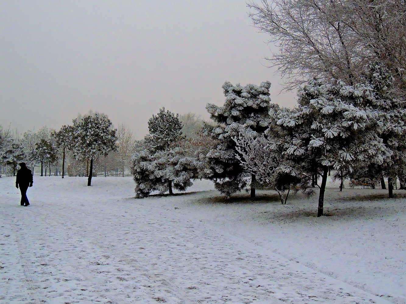 DSCN0088.JPG
