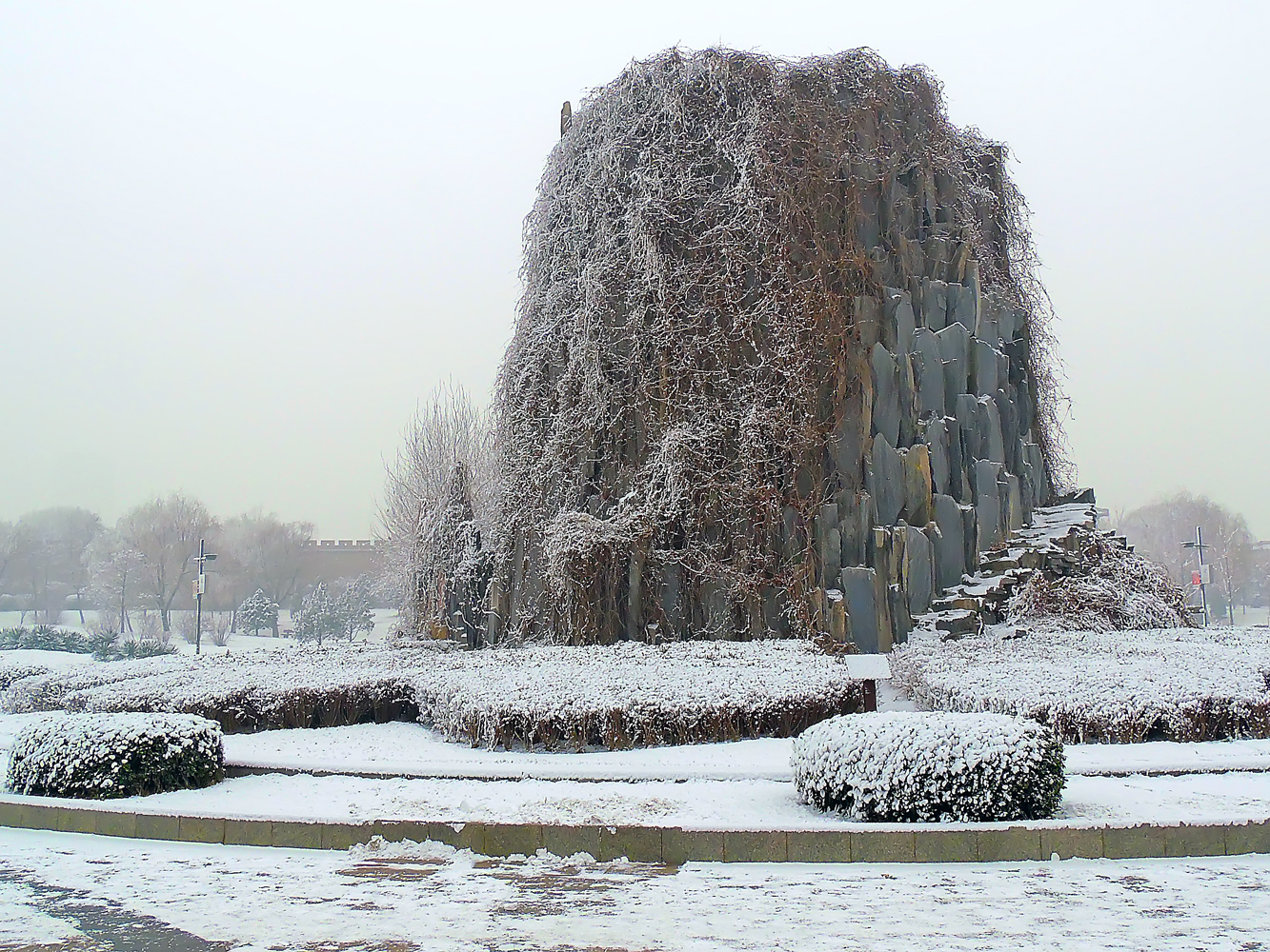 DSCN0096.JPG