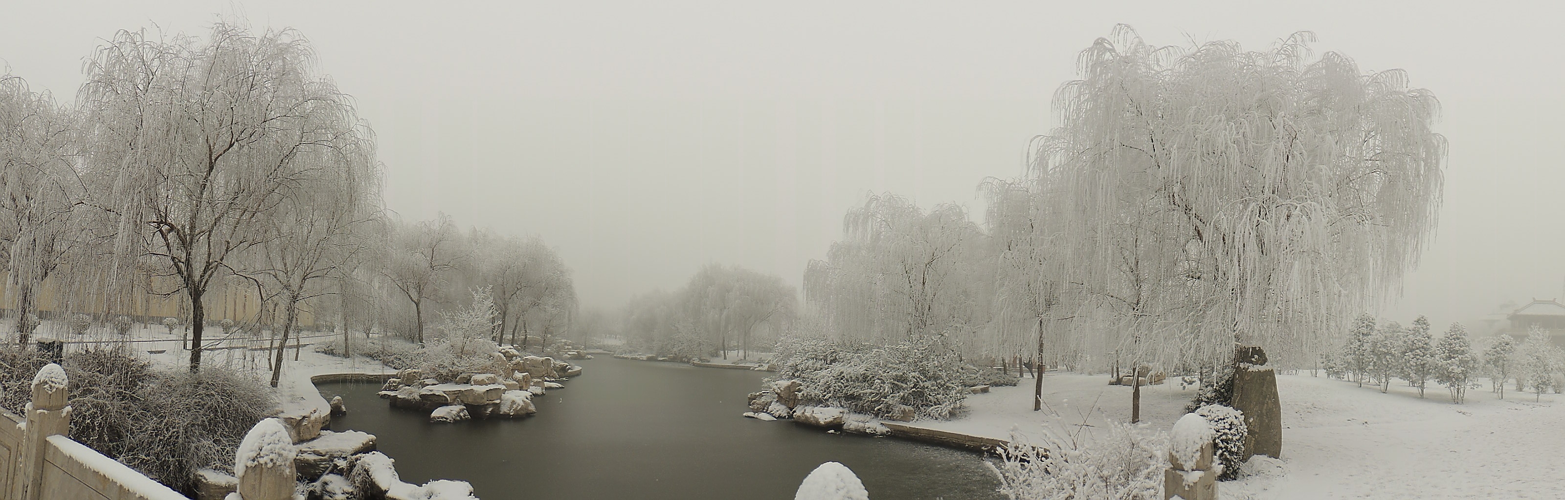 DSCN0176.JPG