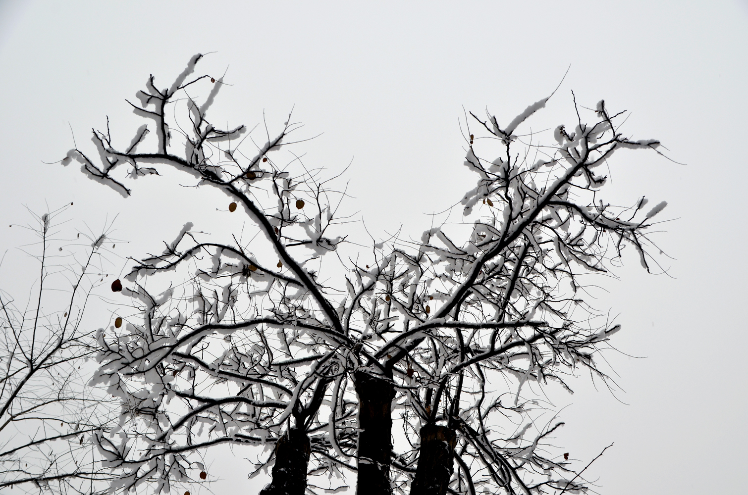 DSC_0615.jpg