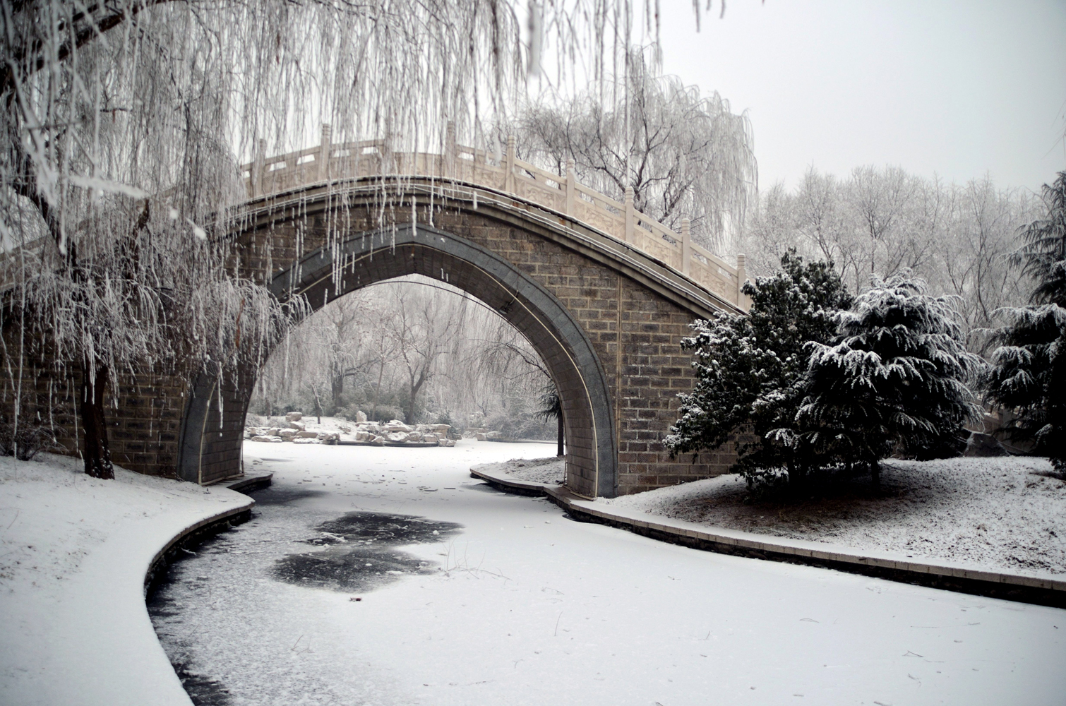 yjc_1051ѩ.JPG